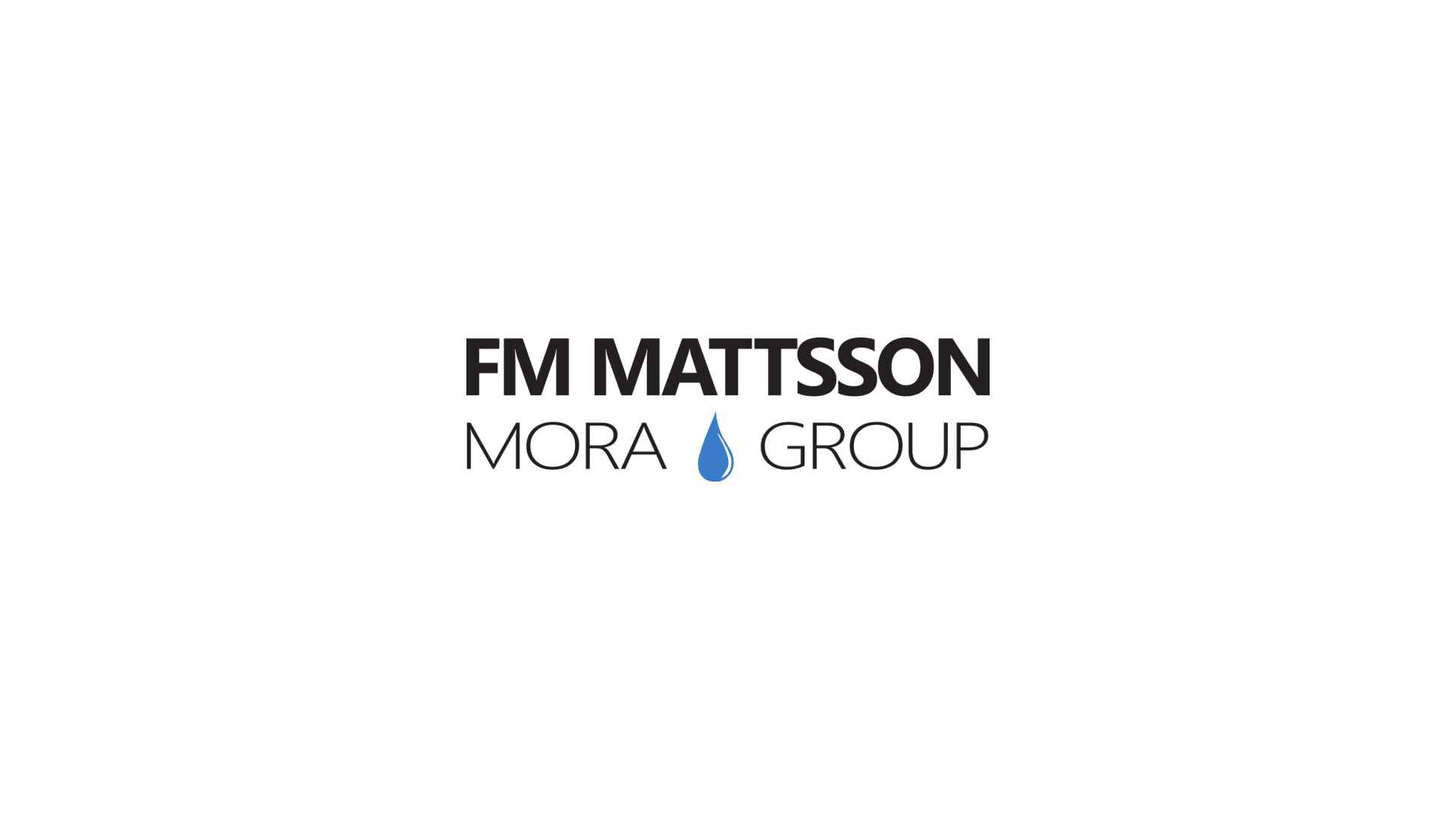 FM Mattsson Mora Group AB