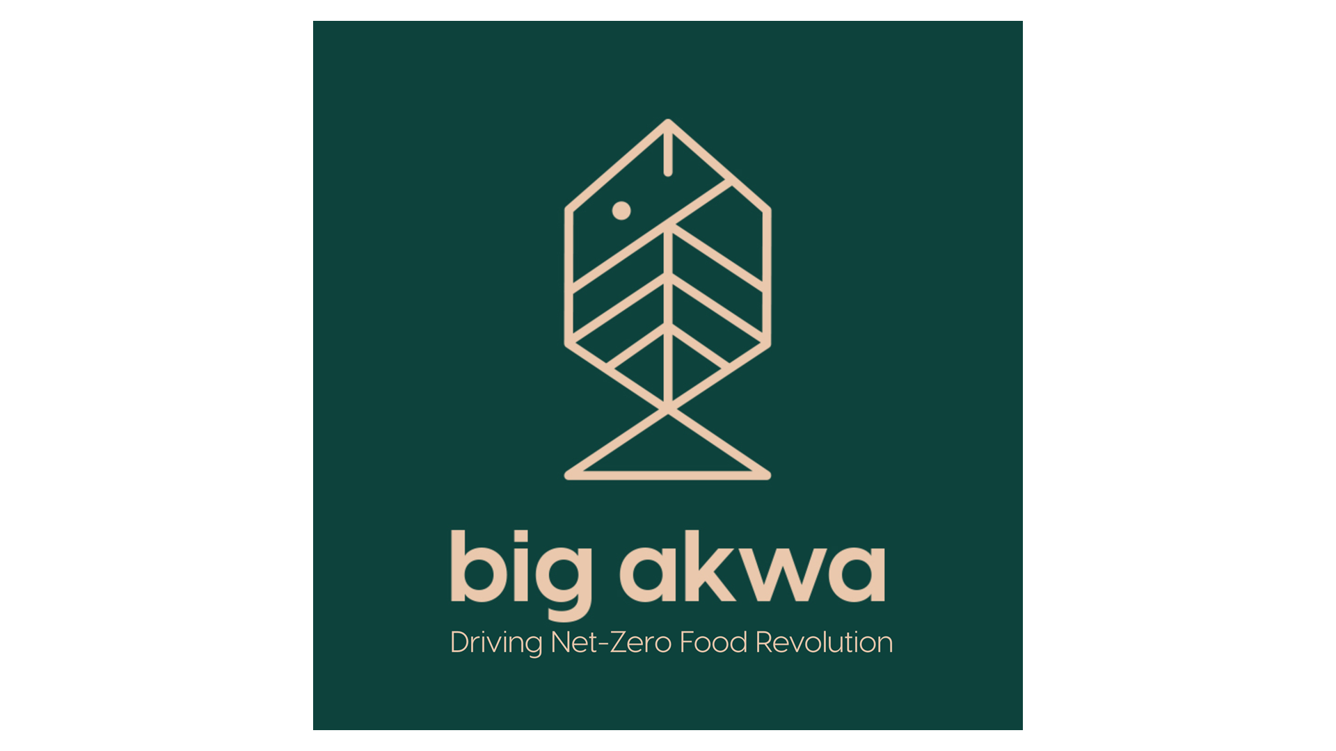 Big Akwa AB (publ)