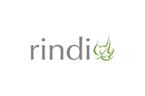 Rindi Energi 