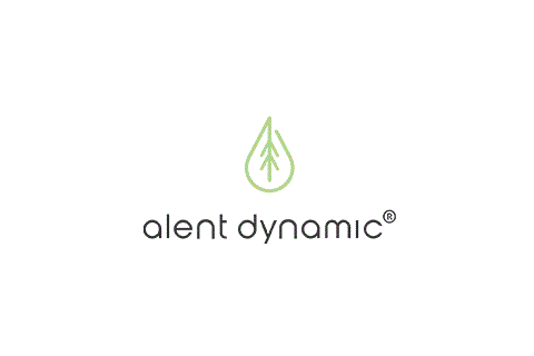 Alent Dynamic AB