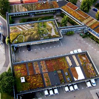 Augustenborg -Turning a Troubled District into an Attractive, Resilient Eco-City
