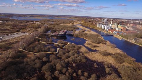 Remediation Project Turns Polluted Sites into Toxin-Free Environment