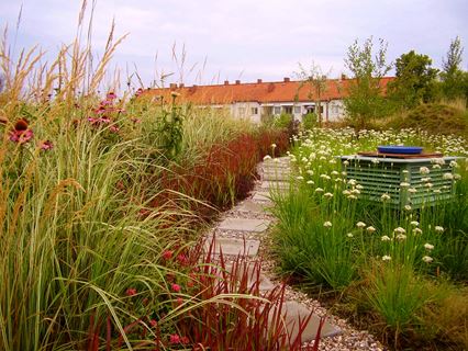 Augustenborg Botanical Roof Garden