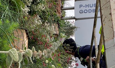 Blue Green City Lab Evaluates Sustainable Solutions