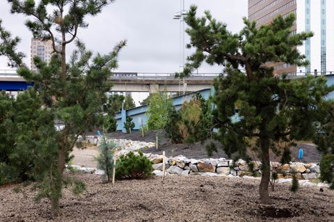 Smart Greening in Malmö: An Urban Forest in an Industrial Harbor