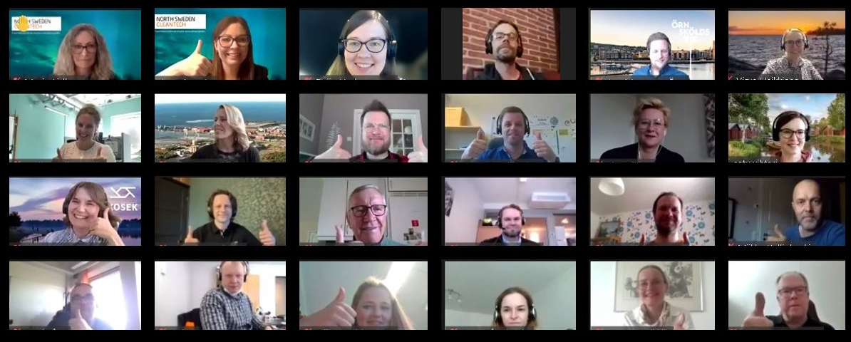 Finnish delegation visited Northern Sweden virtually