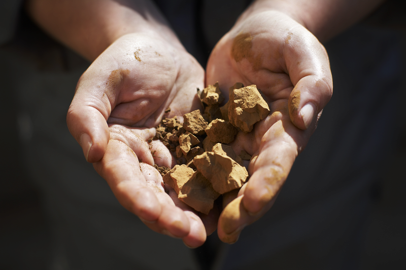 A new centre for testbeds within bioeconomy in development