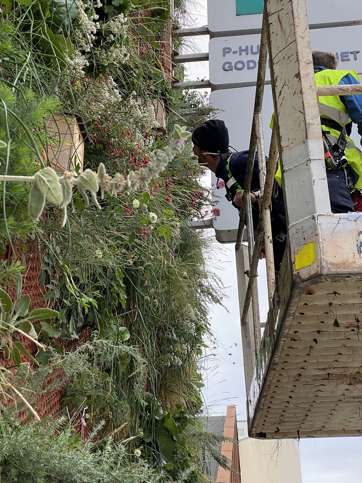 Blue Green City Lab shortens the time for developing bluegreen solutions